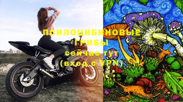 тгк Арсеньев