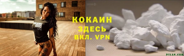 тгк Арсеньев