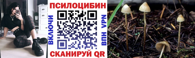 Галлюциногенные грибы ЛСД  Руза 