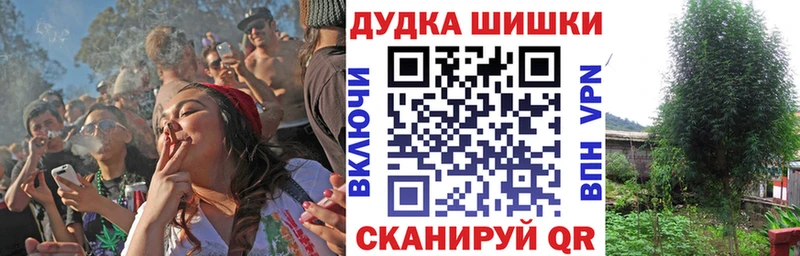 OMG ONION  Руза  Марихуана марихуана 
